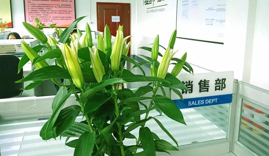 濃情七夕，最美祝福！
